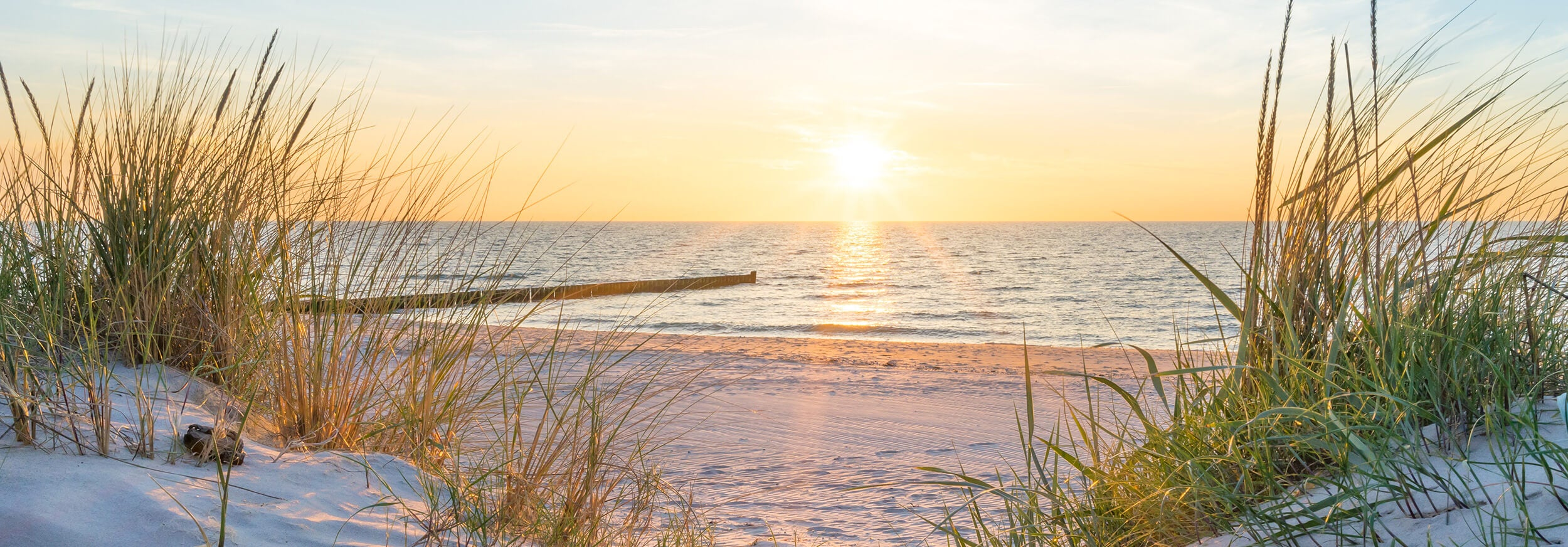 Will Strep Throat Actually Go Away On Its Own Checkable Checkable