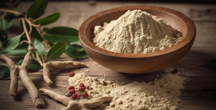 Ashwagandha and Its Ayurveda History