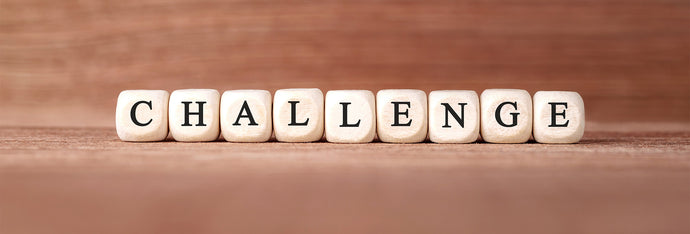 Challenges Along My Journey with Checkable