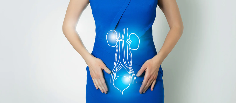 How to Tell the Difference Between a UTI Vs. Kidney Infection