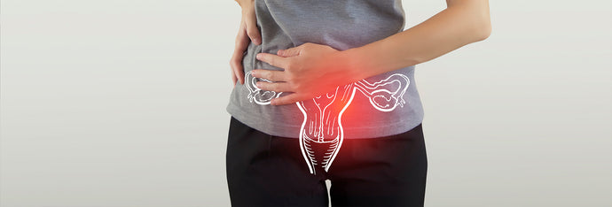 If You Have a Bladder, You Can Get a UTI