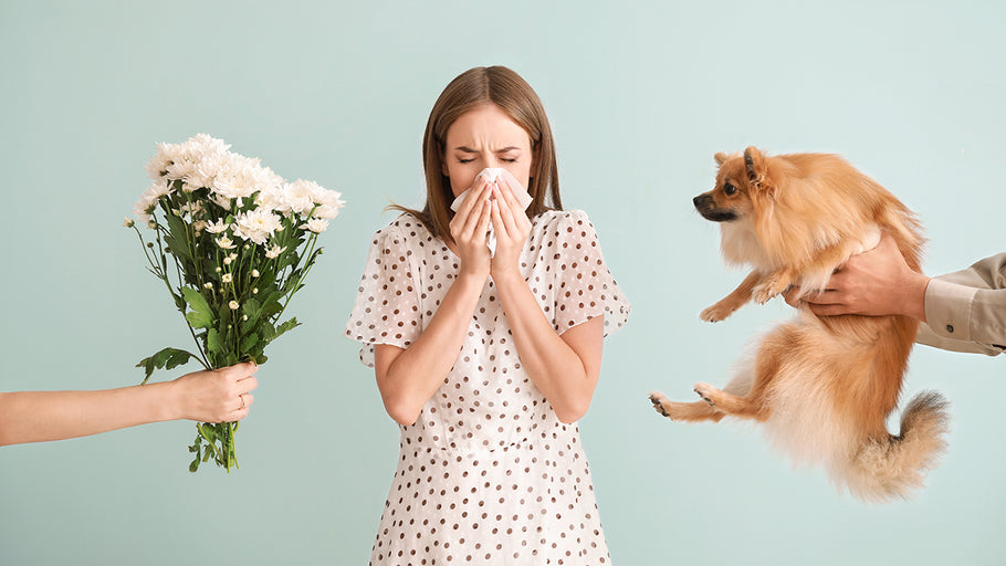 What Causes Allergies? A Comprehensive Guide