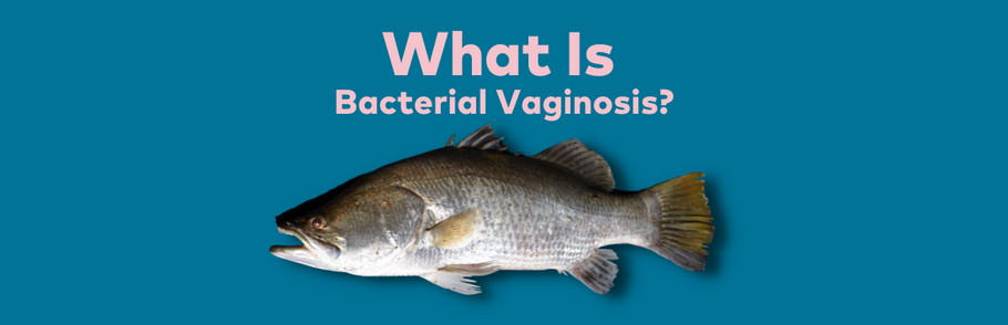 The Details Down There: All About BV